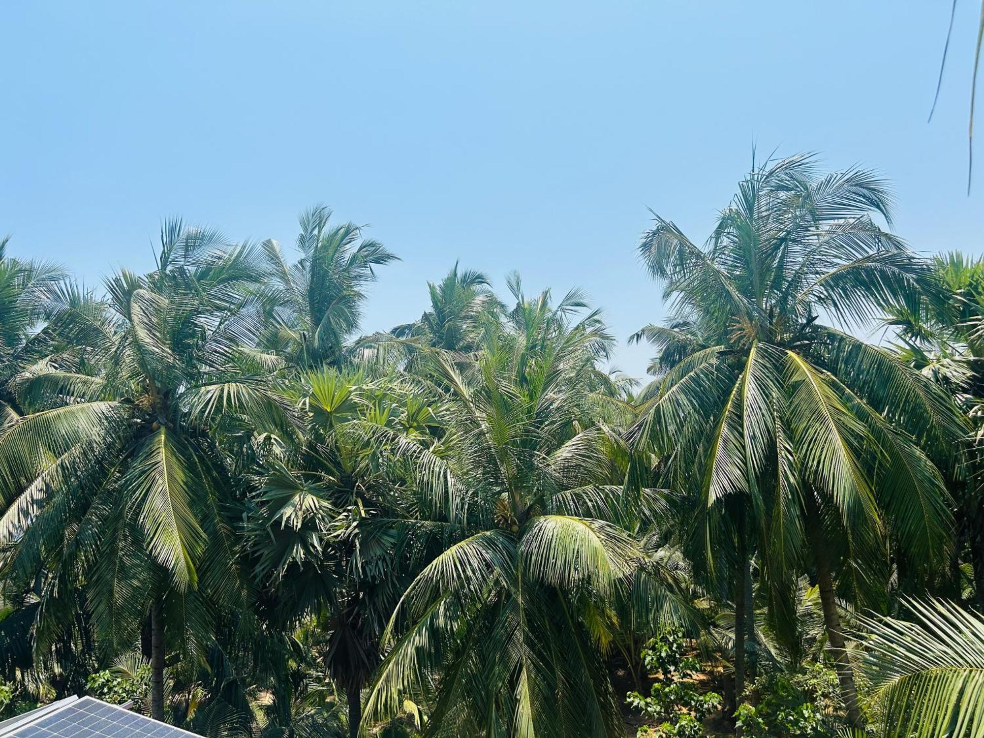 Pearl Bungalow Trincomalee Eksteriør bilde