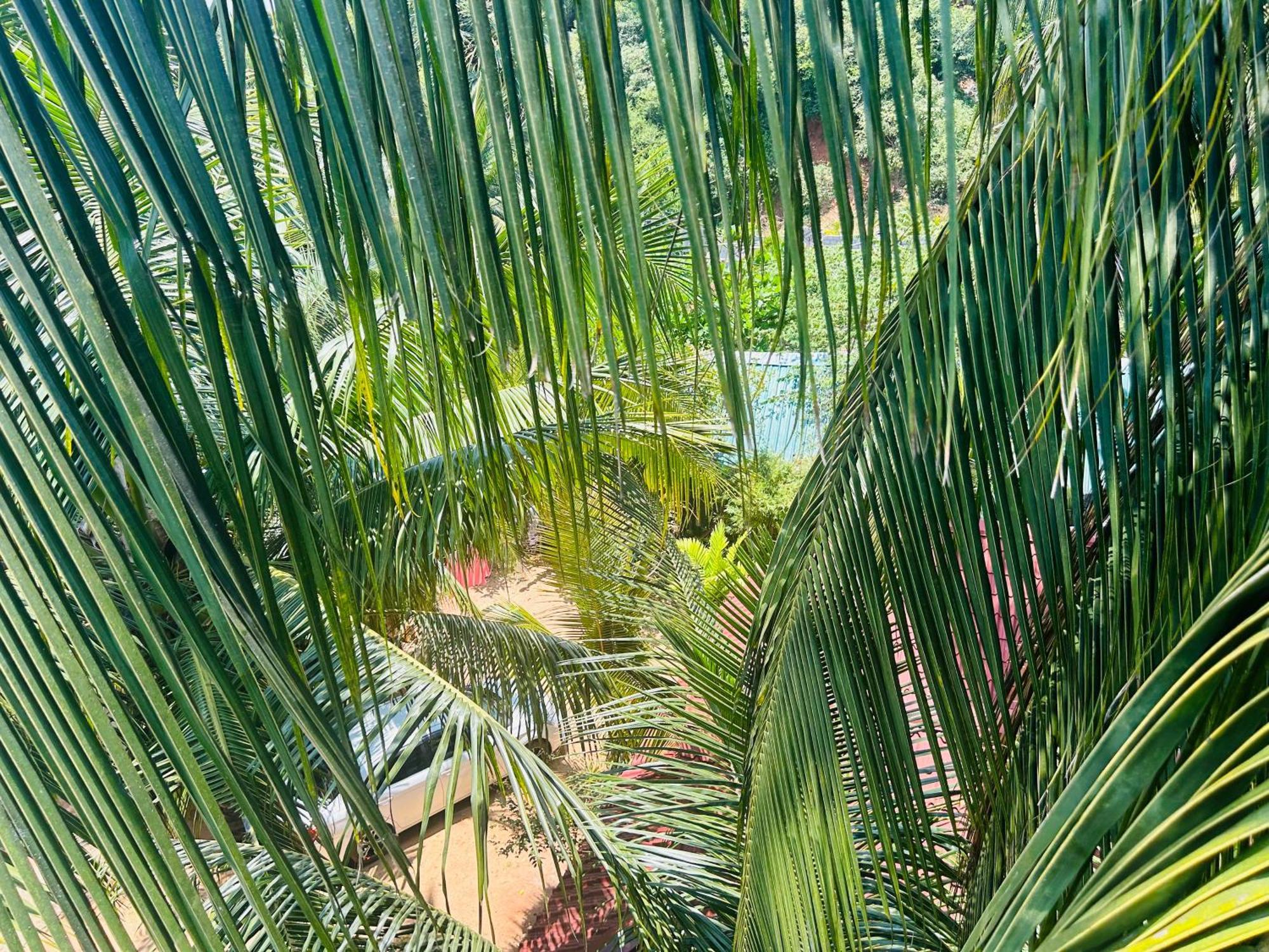 Pearl Bungalow Trincomalee Eksteriør bilde